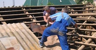Демонтаж крыши в Каменске-Шахтинском - стоимость работ от 733 рублей за м2